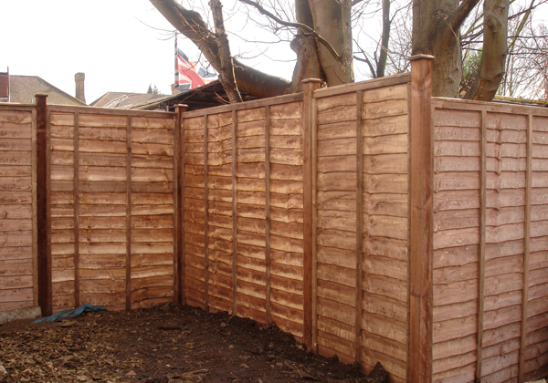 Wood Fence Panels