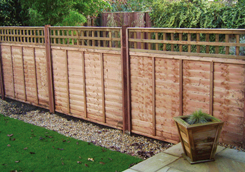 Larch & Trellis Fencing Panels